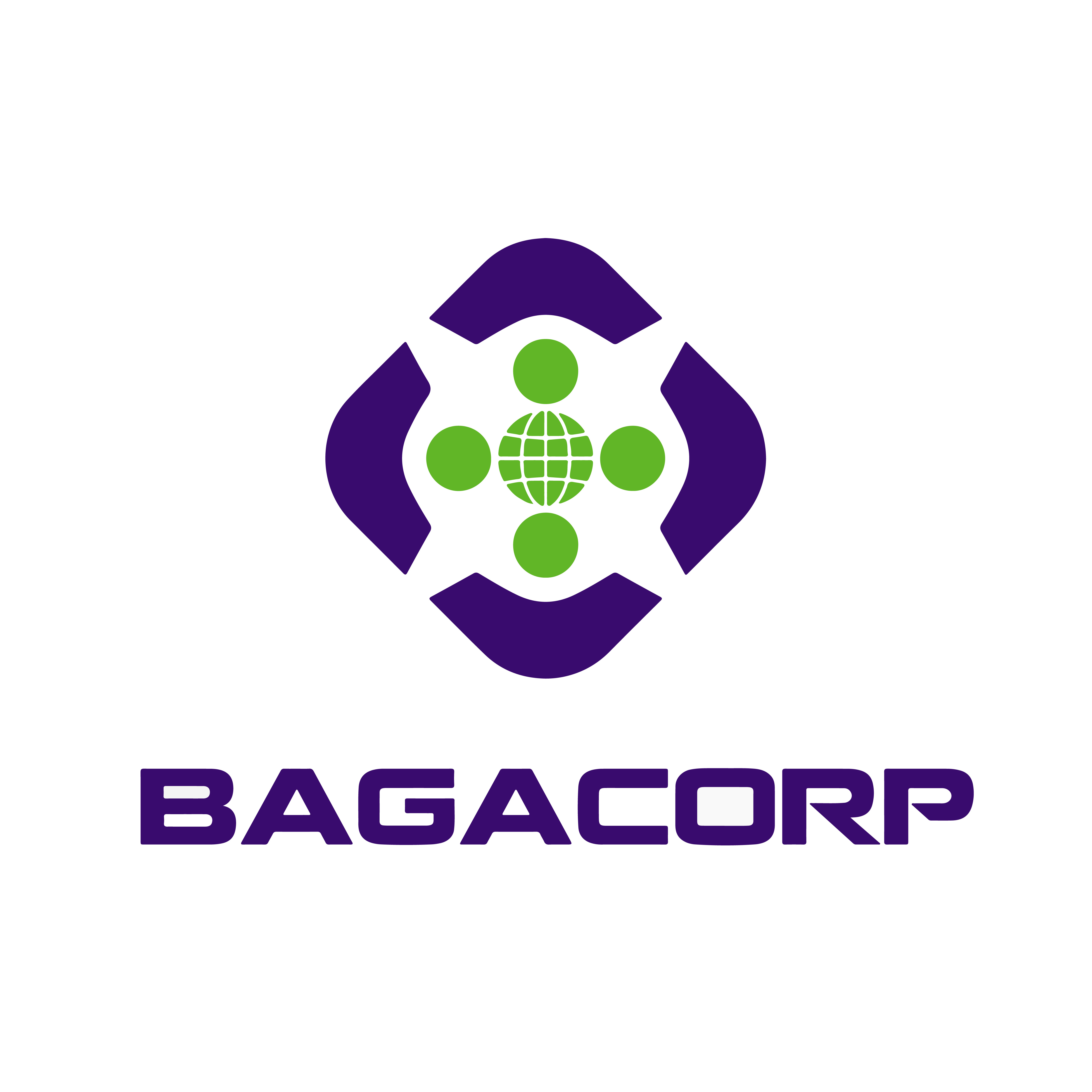 Công ty cổ phần BAGA Việt Nam